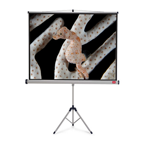 NOBO Tripod projekční plátno, 175 x 133 cm, matný bílý, 4:3